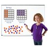 Learning Resources Giant Array Magnetic Demonstration Set 6648